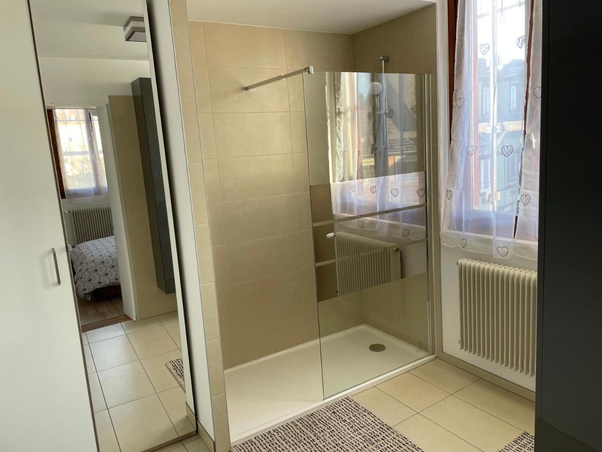Appartement Le Fil D'Or 콜마 외부 사진